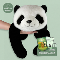Panda Pandík