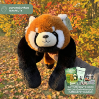 Červená panda Roko