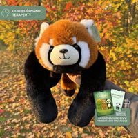 Červená panda Koko